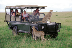 Ostafrika, Kenia: Safari-Hhepunkte und Indischer Ozean - Safarijeep